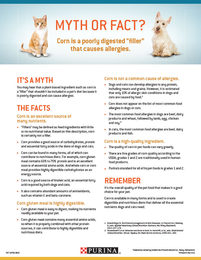 Fact Vs. Myth: Pets and Rodenticide